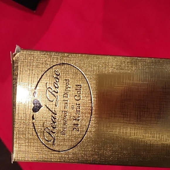 COPY - Steven Singer Real Rose Just Peachy Preserved and Dipped in 24 Karat Gold - Picture 11 of 12